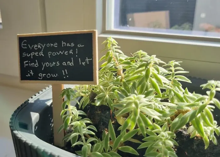 B&B On The Way - Beach/guest House 민델루