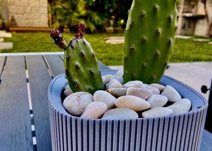 On The Way - Beach/guest House Bed & Breakfast Mindelo