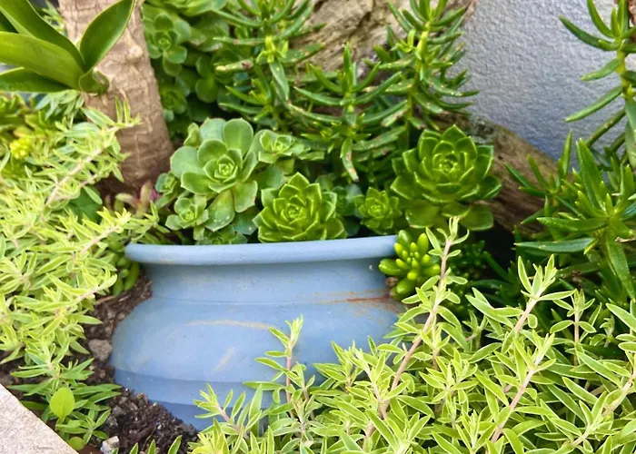 B&B On The Way - Beach/guest House